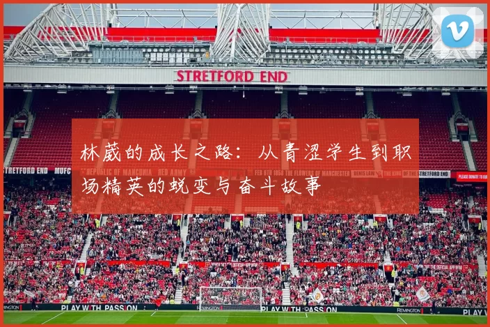 林葳的成长之路：从青涩学生到职场精英的蜕变与奋斗故事