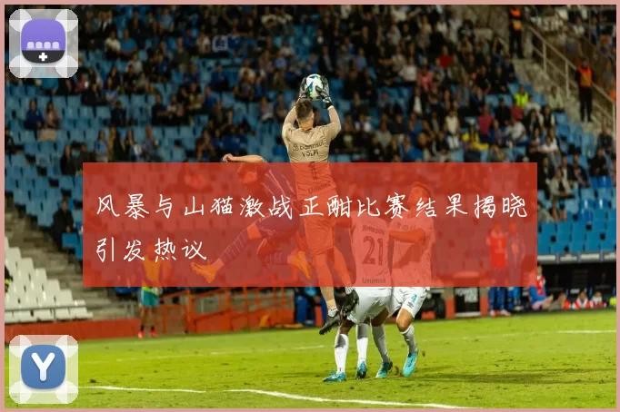 风暴与山猫激战正酣比赛结果揭晓引发热议