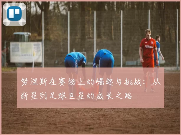 努涅斯在赛场上的崛起与挑战：从新星到足球巨星的成长之路